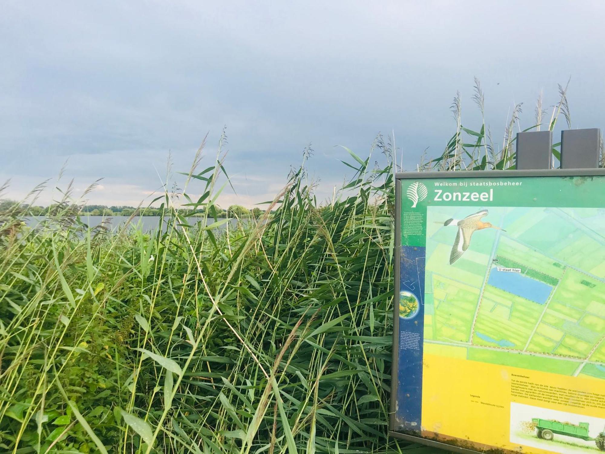 B&B Zen Zwaluwe Exteriör bild